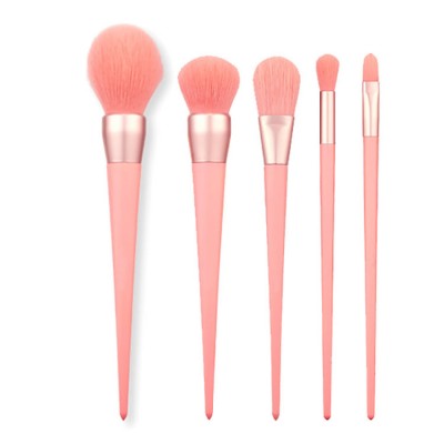 2019 Fashion Color Cosmetic Tools 5pcs Makeup Brushes Set Powder Blush Eyeshadow Brush Private Label